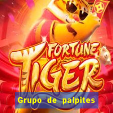 Grupo de palpites de futebol gratis